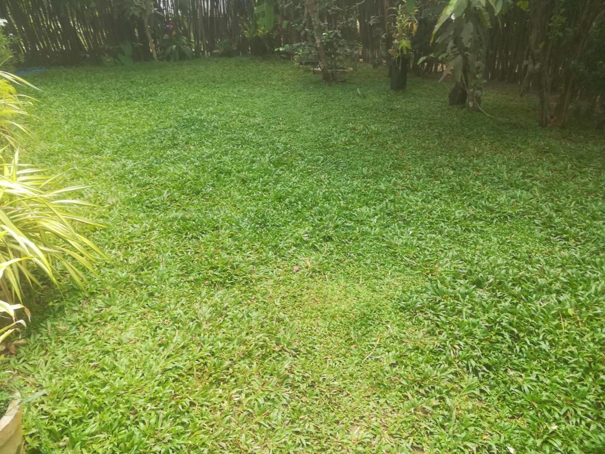 Bamboo Home Stay Hiriketiya Zuid-Dikwella Buitenkant foto