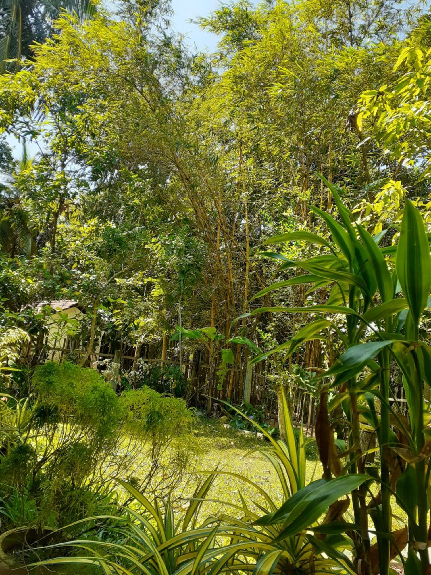 Bamboo Home Stay Hiriketiya Zuid-Dikwella Buitenkant foto